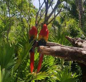 WhatsApp Image 2019-03-25 at 16.42.31 (3)